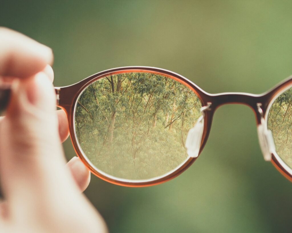 Image is of a pair of hands holding up a pair of round tortoishell glasses, throught the left lens you can see green leafy trees. The image outside the lens is blurred
